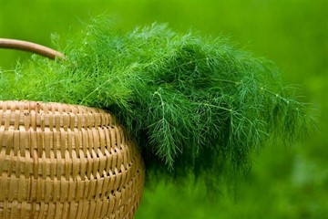 Травяные сборы от давления повышенного: нормализуем нагрузку на сосуды и приводим тело в порядок