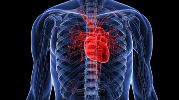 Какое давление при инфаркте – может ли быть при нормальных, низких и высоких показателях