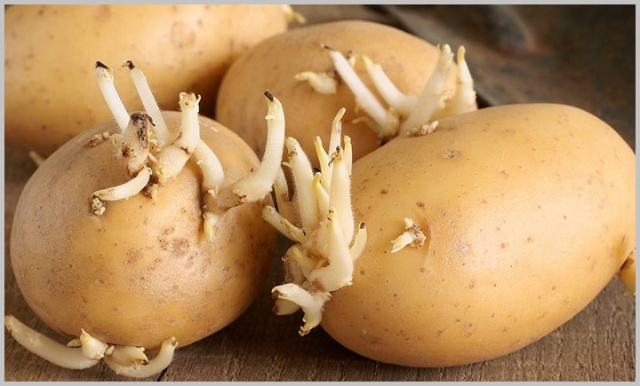 Применение картофеля для лечения артроза и артрита