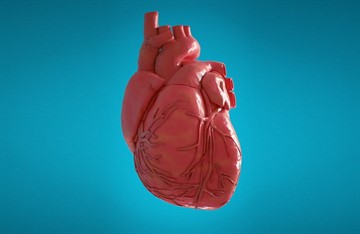 Какое давление сердечное – верхнее или нижнее: что означают показатели артериального давления
