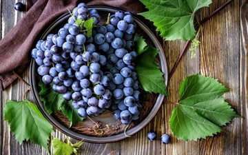 Какие фрукты и овощи понижают давление: лечение гипертонии правильным питанием
