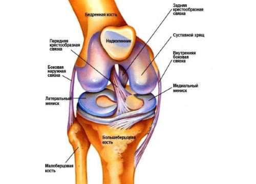 Симптомы и способы лечения менископатии коленного сустава