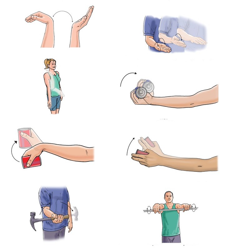 Как разработать руку после перелома плечевой кости?