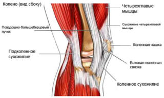 Почему болят сухожилия под коленом и как от этого избавиться