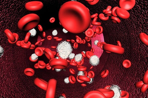Как и почему развивается анемия: гемоглобин и нарушение его содержания в крови
