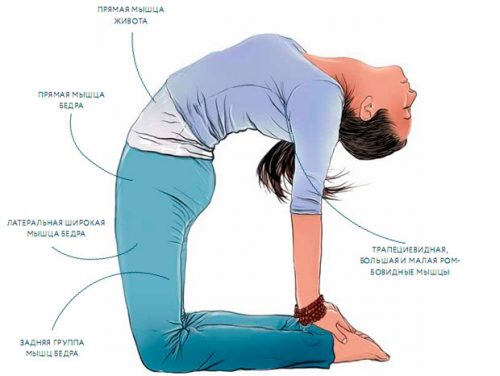 Какие упражнения йоги помогут устранить боли в спине