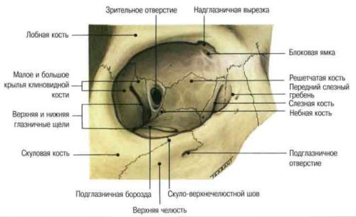 Виды перелома орбиты глаза и методы его лечения