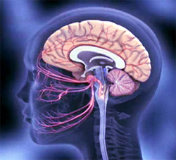 Как выявить и лечить абсцесс головного мозга