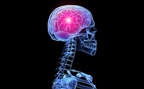 Симптоматика, причины, диагностика и основные методы профилактики смерти мозга